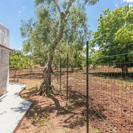 فيلة Trullo Pioppo Gigante - Jacuzzi سان ميكيلي سالنتينو